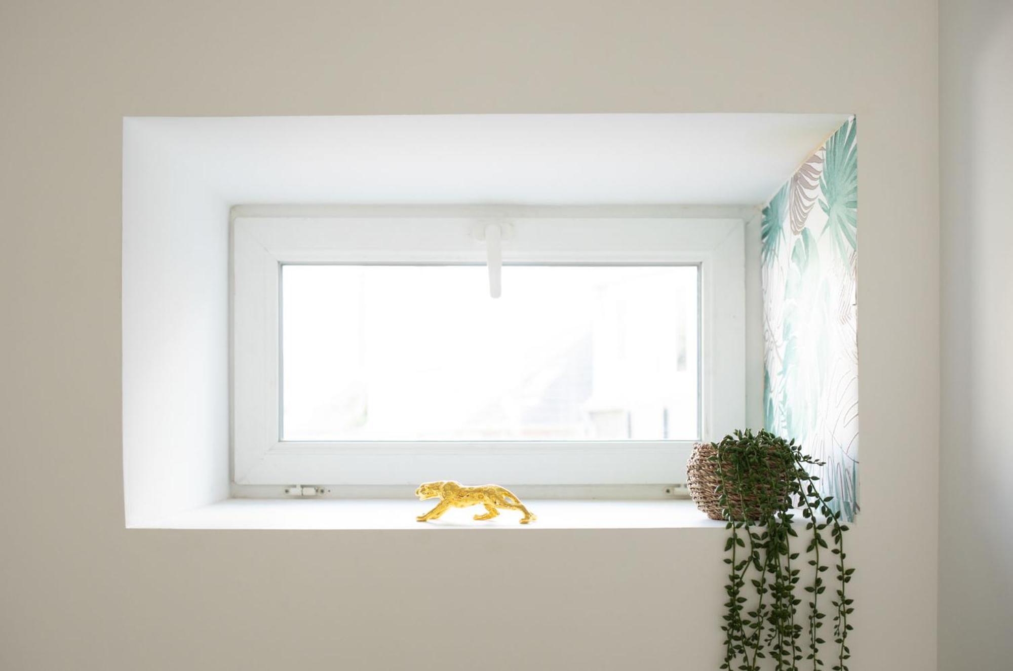 Jungle Appartement Lumineux Plein Centre Boulogne-sur-Mer Buitenkant foto