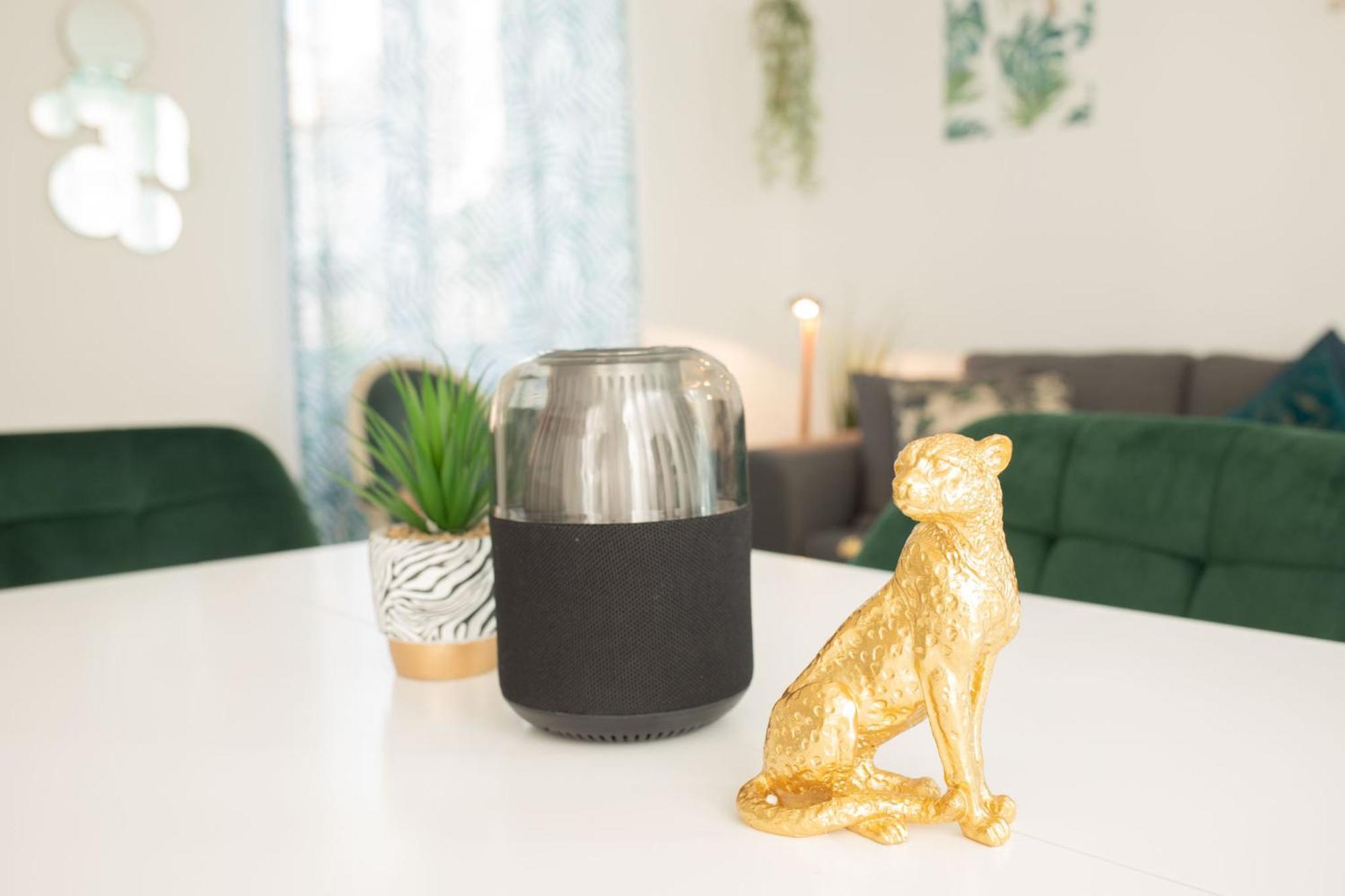 Jungle Appartement Lumineux Plein Centre Boulogne-sur-Mer Buitenkant foto