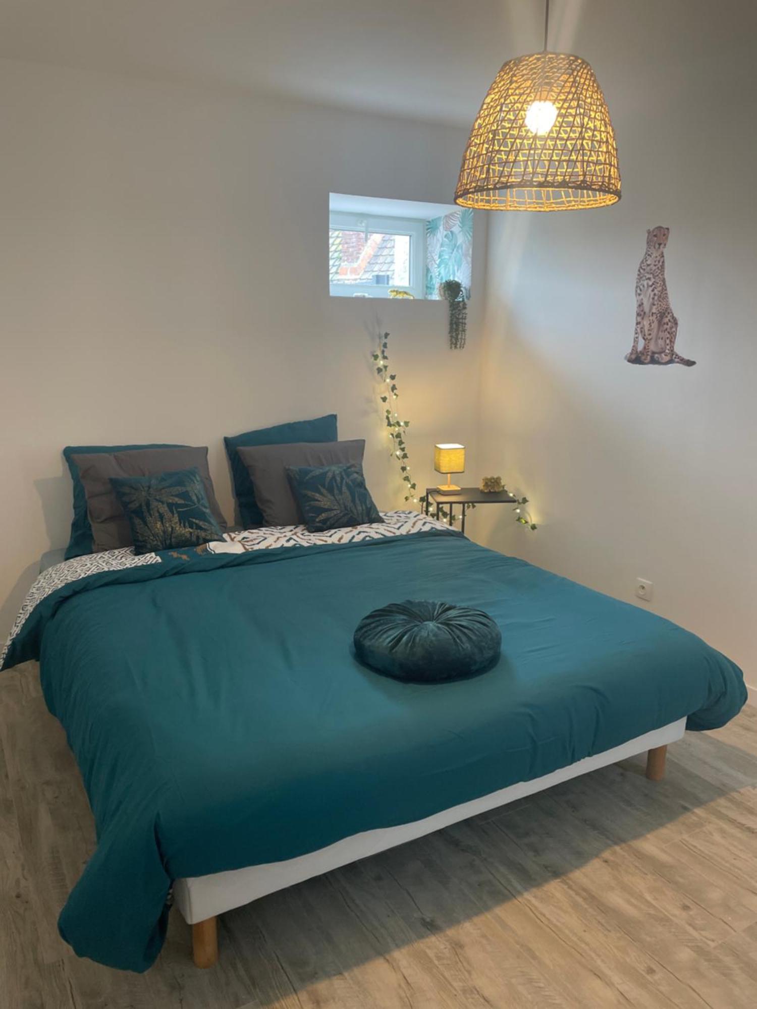 Jungle Appartement Lumineux Plein Centre Boulogne-sur-Mer Buitenkant foto