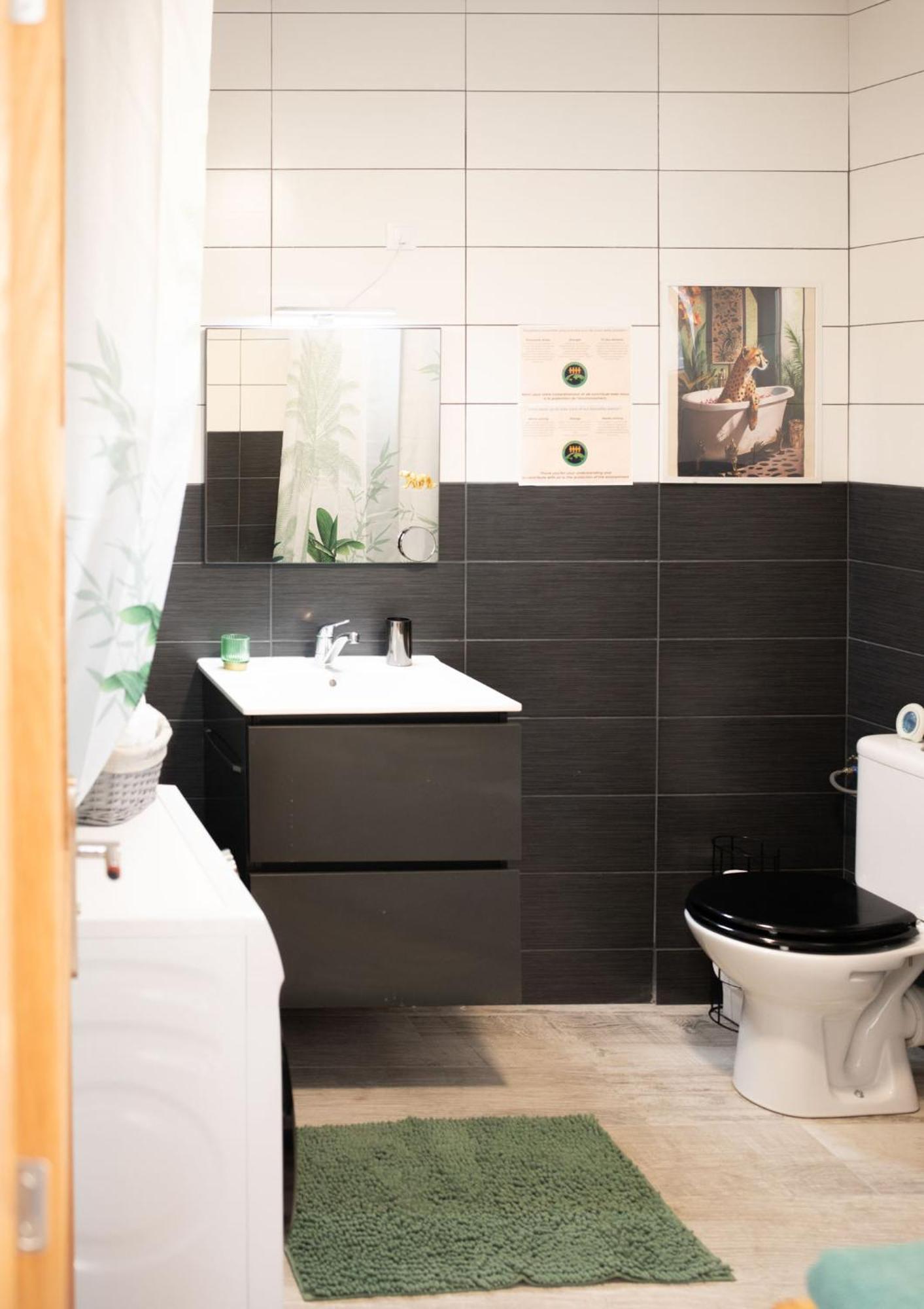 Jungle Appartement Lumineux Plein Centre Boulogne-sur-Mer Buitenkant foto