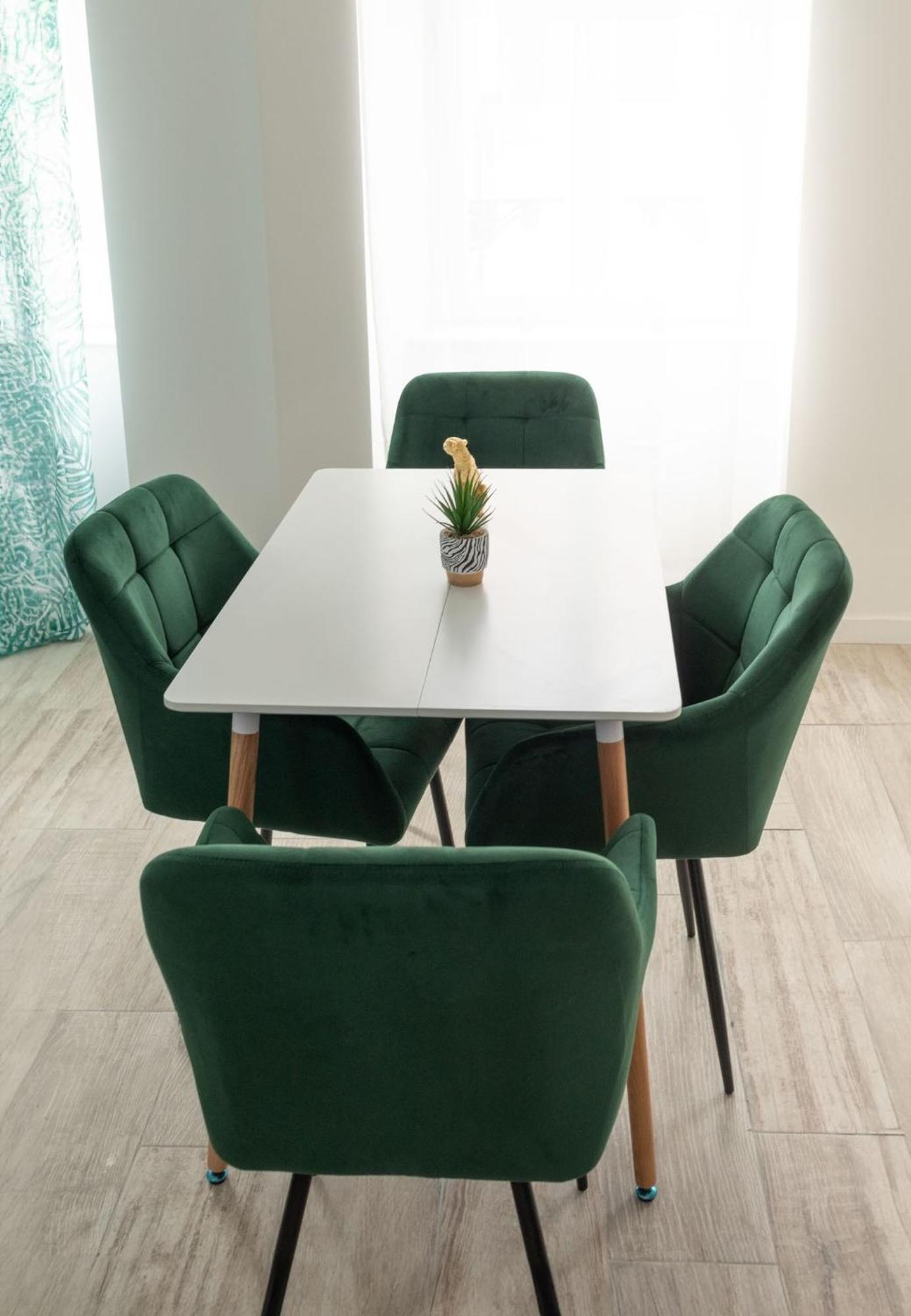 Jungle Appartement Lumineux Plein Centre Boulogne-sur-Mer Buitenkant foto